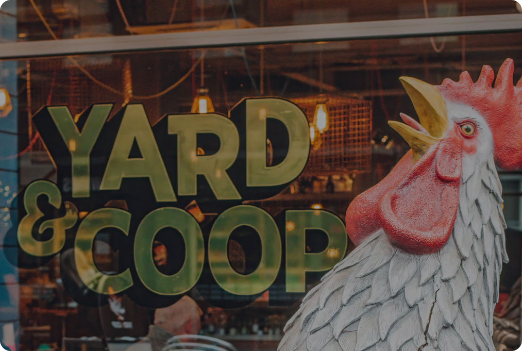 yard and coop2